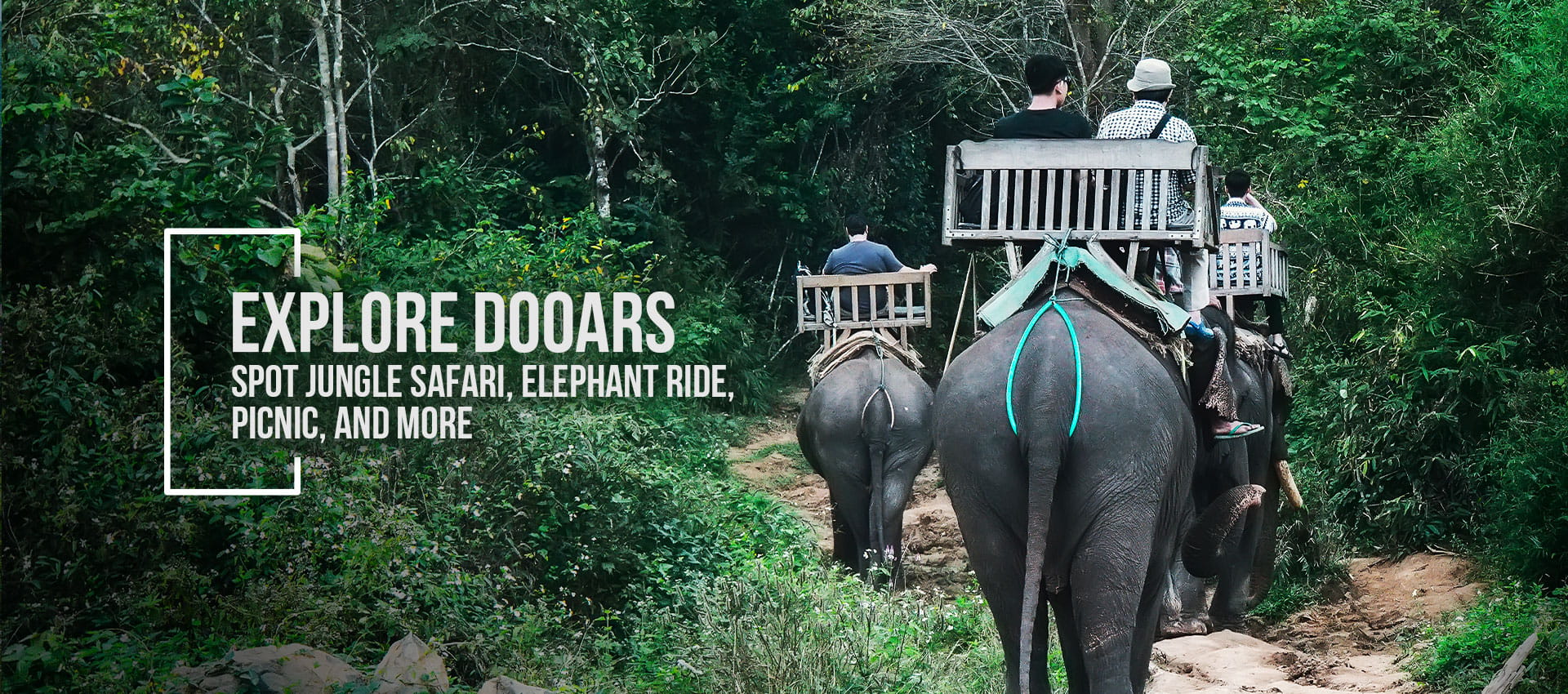 Dooars