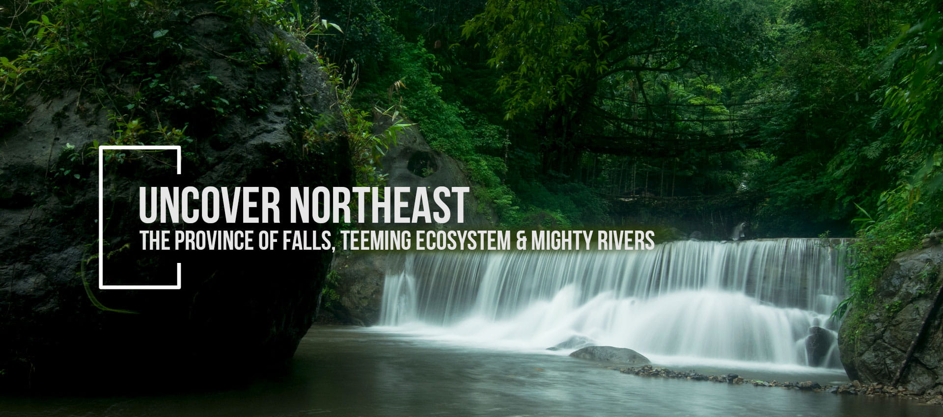 Northeast