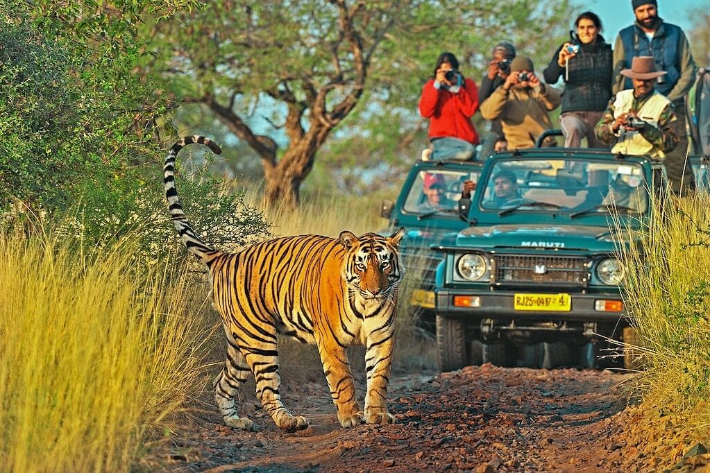 Explore Assam
