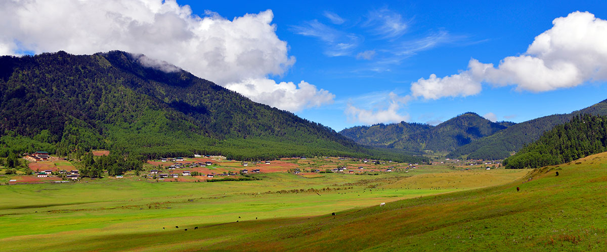 Bhutan 8 Nights with Phobjikha Excursion