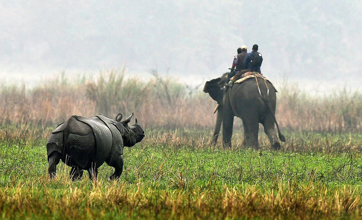 Assam Marvels: Journey Beyond Imagination