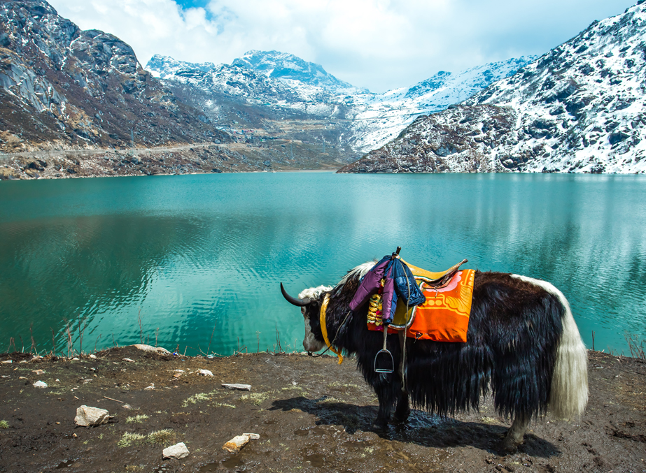 Sikkim Serenity: A Journey to the Majestic Land of Mountains and Monasteries