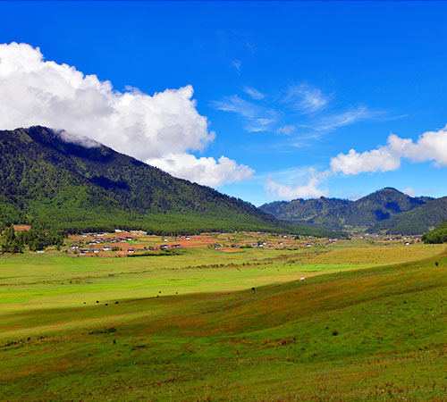 Bhutan 8 Nights with Phobjikha Excursion