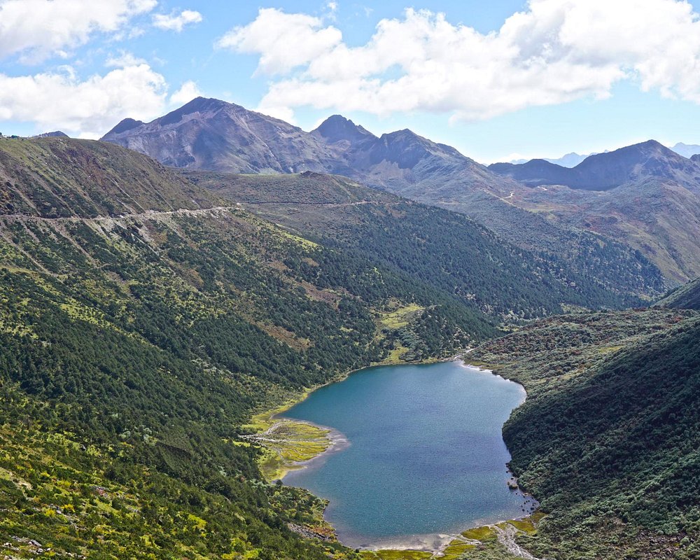 Northeastern Natural Charm