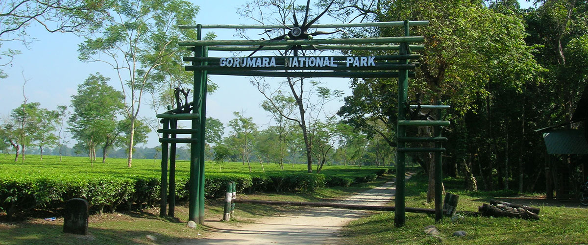 Dooars 3 Days 4 Nights Tour