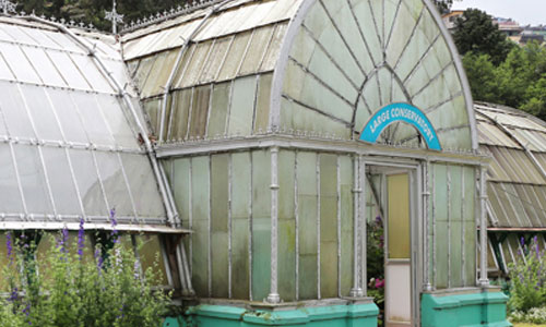 Lloyd Botanical Garden
