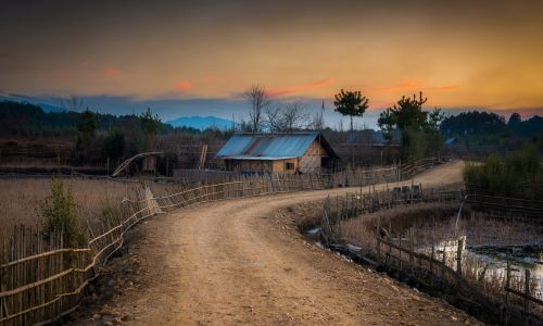 Ziro Valley