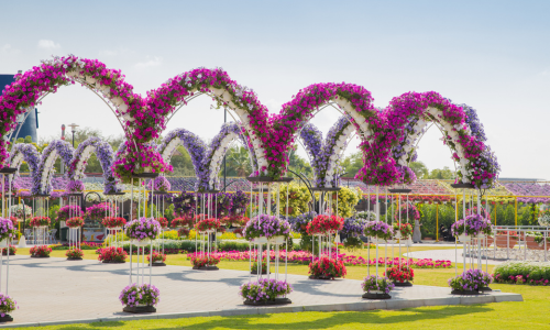 Dubai Miracle Garden