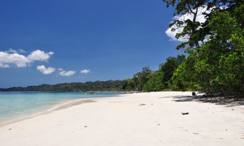 Elephant Beach