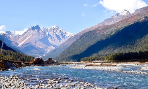 Yumthang Valley of Flowers