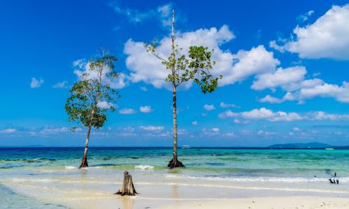 Havelock Island (Swaraj Dweep)