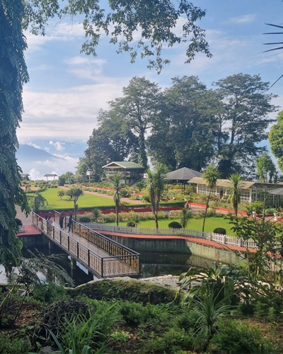 Shrubbery Nightingale Park
