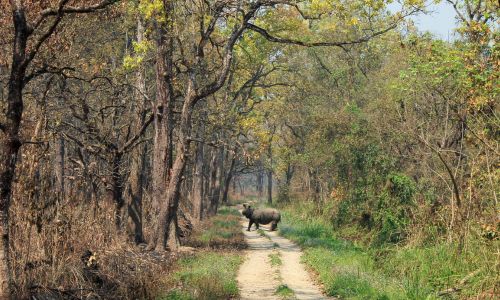 Chitwan National Park